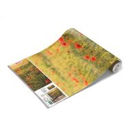 Fototapeet Poppy World SHX9-071