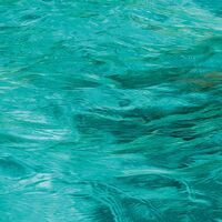 Fototapeet Schatzinsel SHX9-078