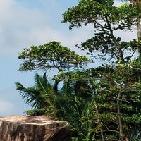 Fototapeet Schatzinsel SHX9-078