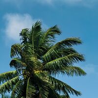 Fototapeet Schatzinsel SHX9-078