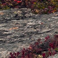 Fototapeet Schroffes Paradies SHX9-079