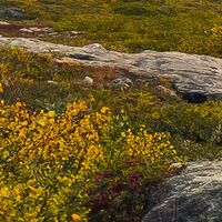 Fototapeet Schroffes Paradies SHX9-079