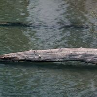 Fototapeet Spirit Island SHX9-081