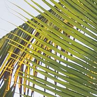 Fototapeet Strandgeheimnis SHX9-082