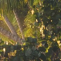 Fototapeet Strandgeheimnis SHX9-082