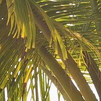 Fototapeet Strandgeheimnis SHX9-082