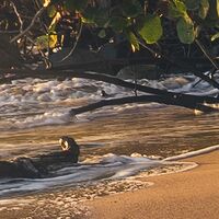 Fototapeet Strandgeheimnis SHX9-082
