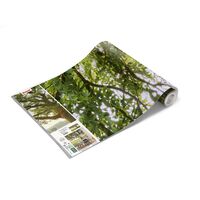 Fototapeet The Magic Tree SHX9-086