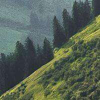 Fototapeet The Green Queen SHX9-088