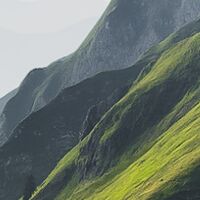 Fototapeet The Green Queen SHX9-088