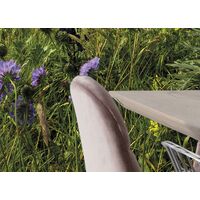 Fototapeet The Green Queen SHX9-088