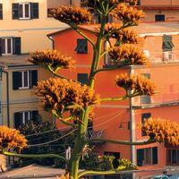 Fototapeet The picturesque Village SHX9-089