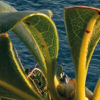 Fototapeet The picturesque Village SHX9-089