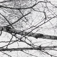 Fototapeet Weiss-Blau SHX9-093