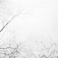 Fototapeet Weiss-Blau SHX9-093