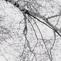 Fototapeet Weiss-Blau SHX9-093