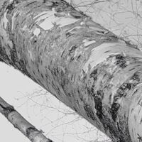 Fototapeet Weiss-Blau SHX9-093