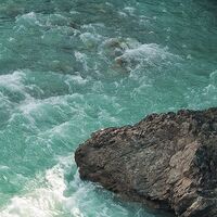 Fototapeet Wild Canada SHX9-095