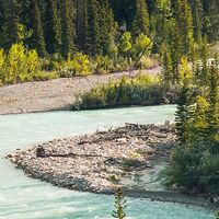 Fototapeet Wild Canada SHX9-095