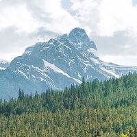 Fototapeet Wild Canada SHX9-095