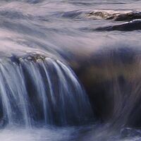 Fototapeet Wild Paradise SHX9-096