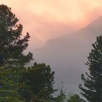 Fototapeet Wild Paradise SHX9-096