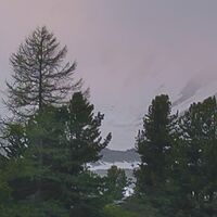 Fototapeet Wild Paradise SHX9-096