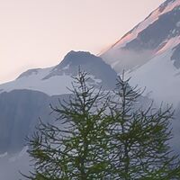 Fototapeet Wild Paradise SHX9-096