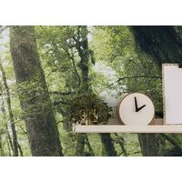 Fototapeet Ancient Green  SHX9-104