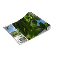 Fototapeet Cast Away Jungle  SHX9-106