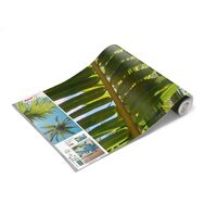 Fototapeet Coconut Heaven II  SHX9-107