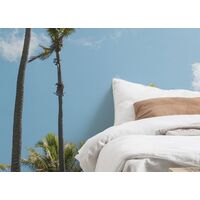 Fototapeet Coconut Heaven  SHX9-108