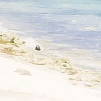 Fototapeet Fiji Dreams Boat  SHX9-109