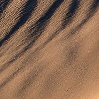 Fototapeet Glowing Lines  SHX9-111