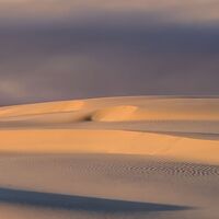 Fototapeet Glowing Lines  SHX9-111