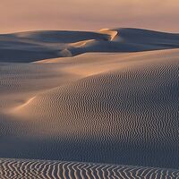 Fototapeet Glowing Lines  SHX9-111