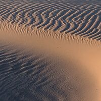 Fototapeet Glowing Lines  SHX9-111