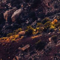 Fototapeet Grand Wonder  SHX9-113