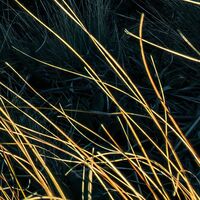 Fototapeet Green Ridges  SHX9-115