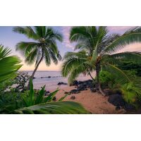 Fototapeet Hawaiian Dreams  SHX9-116 (Stefan Hefele II)