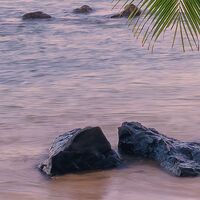 Fototapeet Hawaiian Dreams  SHX9-116