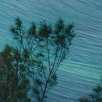 Fototapeet Jurassic Island  SHX9-117