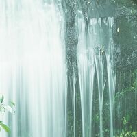 Fototapeet Secret Veil  SHX9-125