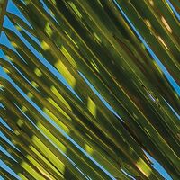 Fototapeet Strandoase Südsee SHX9-126