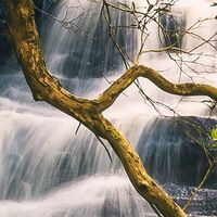 Fototapeet Golden Falls SHX9-131