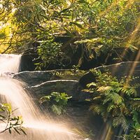 Fototapeet Golden Falls SHX9-131