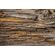 Fototapeet Tree Bark, 375×250 cm