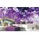 Fototapeet Purple Amethyst, 375×250 cm