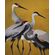 Fototapeet Komar FLX4-053 - Yellow Cranes
