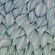 Fototapeet Komar FLX5-047 - Gentle Waves